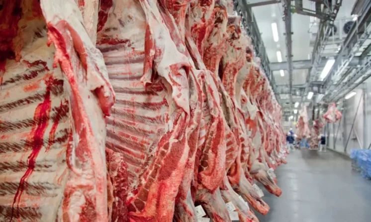 Brasil exporta carne para 168 países; China lidera com US$ 7 bilhões em compras