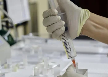 Nova terapia com células-tronco promete eliminar insulina para diabéticos tipo 1