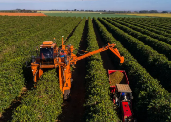 Desafios impostos pela tarifa de Trump: impacto no agronegócio brasileiro