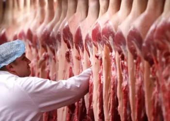 Entre abril e junho, exportações de carne brasileira para os EUA sofrem queda de 80% após imposição de tarifas