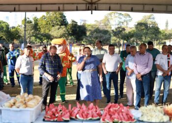 Prefeitura de Goiânia promove mutirão de zeladoria na Região Central