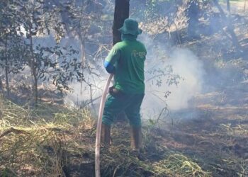 🔥 Prefeitura de Goiânia reforça ações para prevenir incêndios em áreas urbanas durante a seca