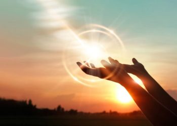 O Verdadeiro sentido da vida