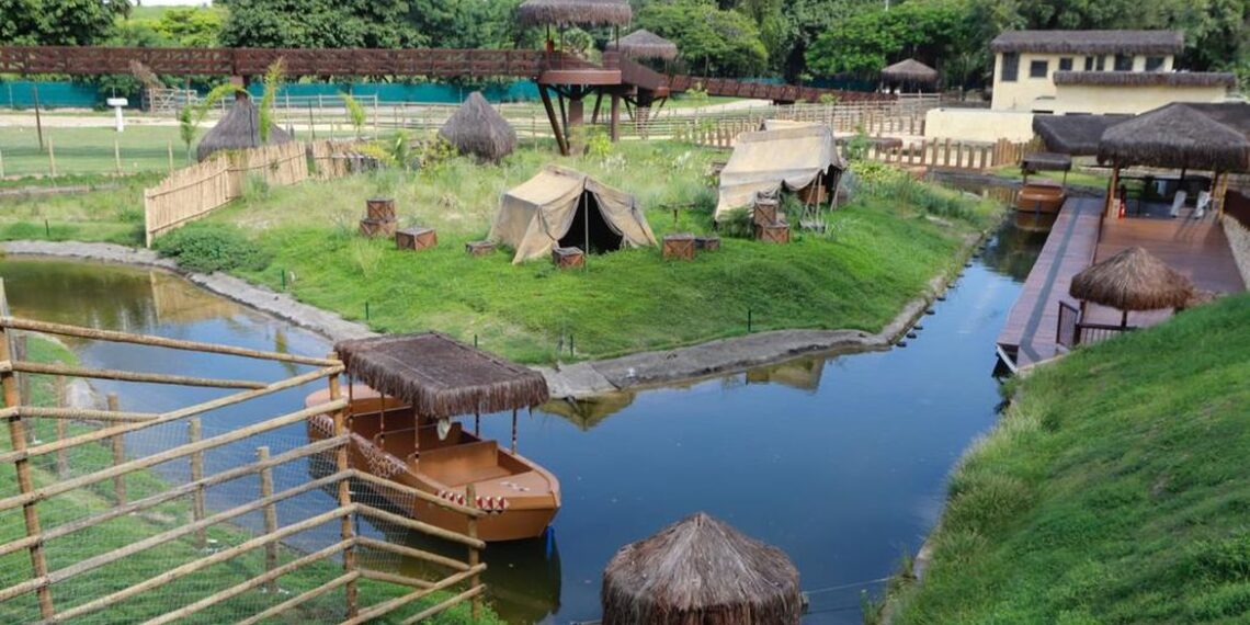 Gripe aviária mata galinhas-d’angola e pavões no Bioparque do Rio