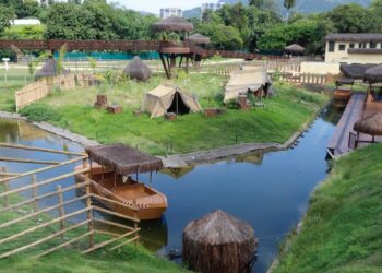 Gripe aviária mata galinhas-d’angola e pavões no Bioparque do Rio