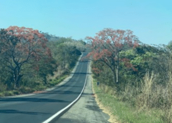 A estrada, o rio e o tempo – Por: Wilton Emiliano Pinto