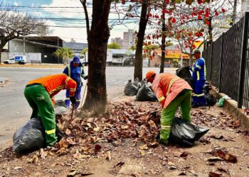 Comurg remaneja servidores para reforçar equipe de varrição em Goiânia