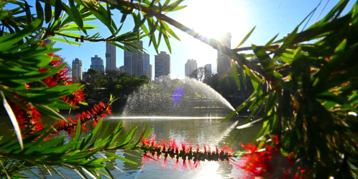 Fonte do Parque Vaca Brava é reativada e reforça compromisso ambiental em Goiânia