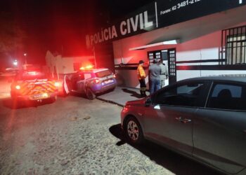 Homem é preso em flagrante por incêndio criminoso em área próxima a parque estadual em Goiás