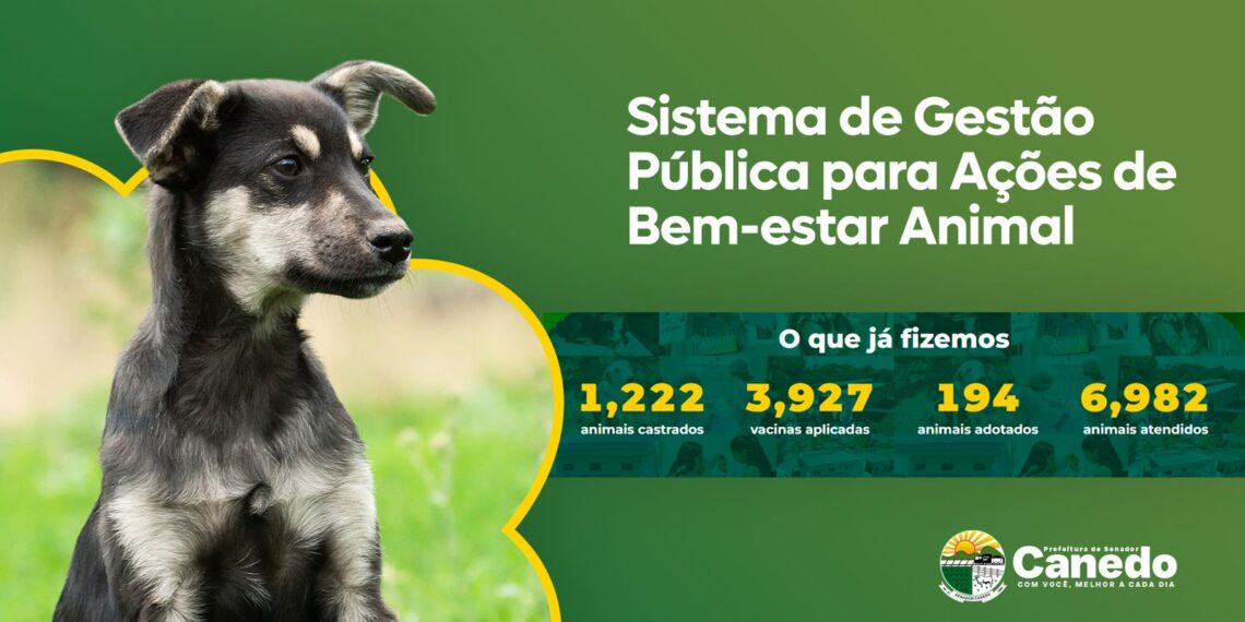 Senador Canedo concorre a prêmio estadual com sistema pioneiro de gestão para bem-estar animal