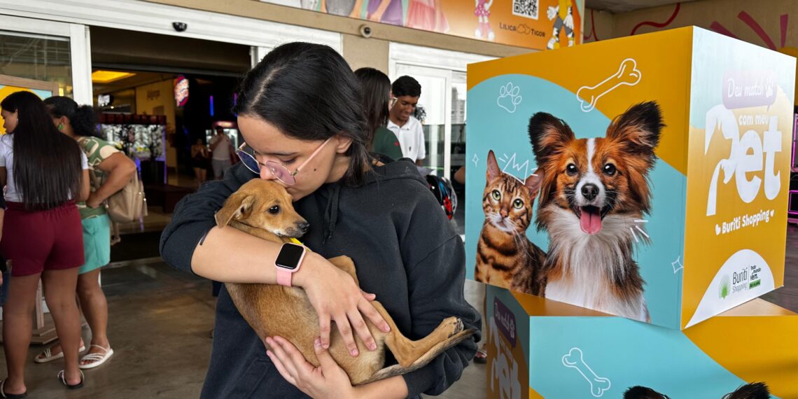 Feira de adoção em Aparecida de Goiânia garante novo lar a 38 animais em apenas 90 minutos