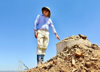 Empresa sul-coreana avalia potencial do Aterro Sanitário de Goiânia para geração de energia limpa