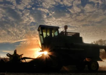 Produção de grãos no Brasil deve atingir recorde histórico de 345,2 milhões de toneladas em 2024/25