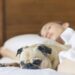 Dormir com animais de estimação pode melhorar o bem-estar, aponta estudo dos EUA