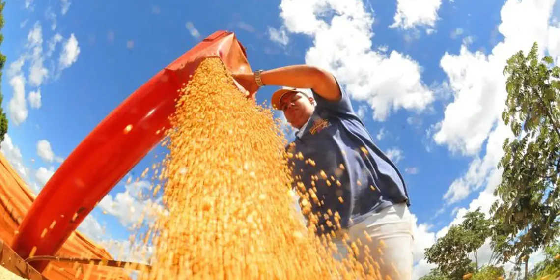 Superávit da balança comercial recua em julho com alta nas importações e queda nas commodities