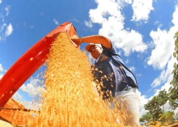 Superávit da balança comercial recua em julho com alta nas importações e queda nas commodities