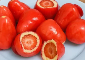 “Morango do amor” pode causar danos aos dentes, alerta Conselho Federal de Odontologia