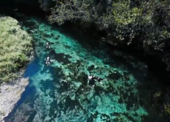 Rio Sucuri: flutuação em águas cristalinas é destaque do ecoturismo em Bonito (MS)