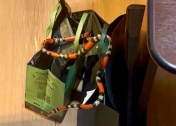 Cobra é encontrada em loja de cosméticos no centro de Bataguassu