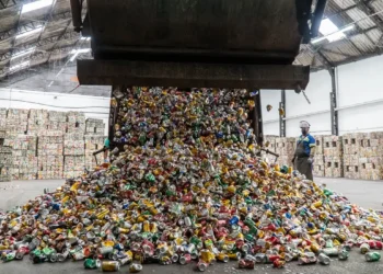 Brasil mantém índice recorde de reciclagem de latinhas e devolve material às prateleiras em 60 dias