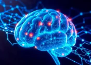 Neurociência aponta: Hábitos diários simples podem otimizar a memória