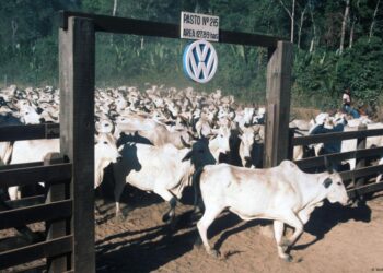 Volkswagen é condenada a pagar R$ 165 milhões por trabalho escravo no Pará