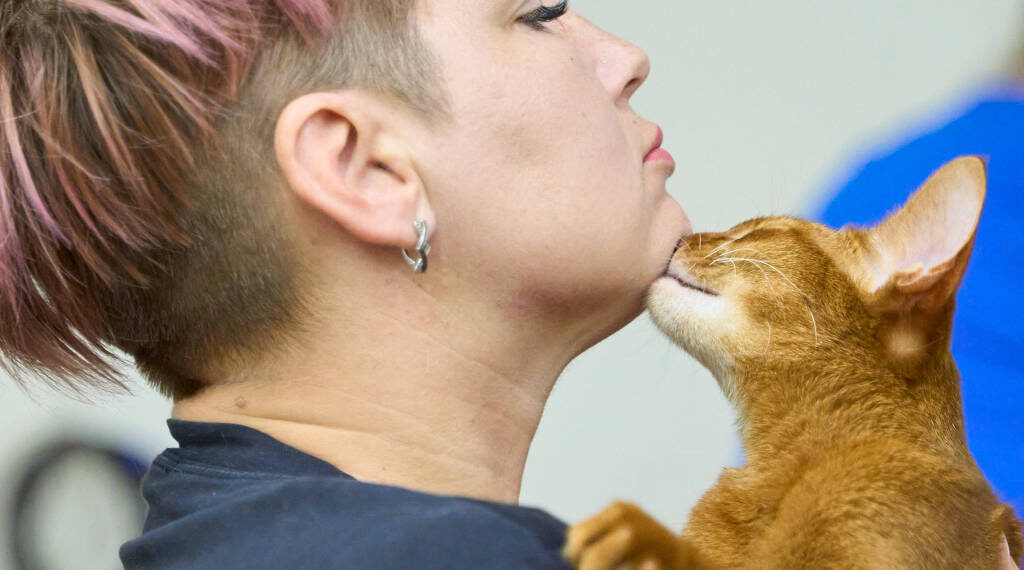 O papel da oxitocina na relação entre humanos e gatos