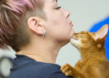 O papel da oxitocina na relação entre humanos e gatos