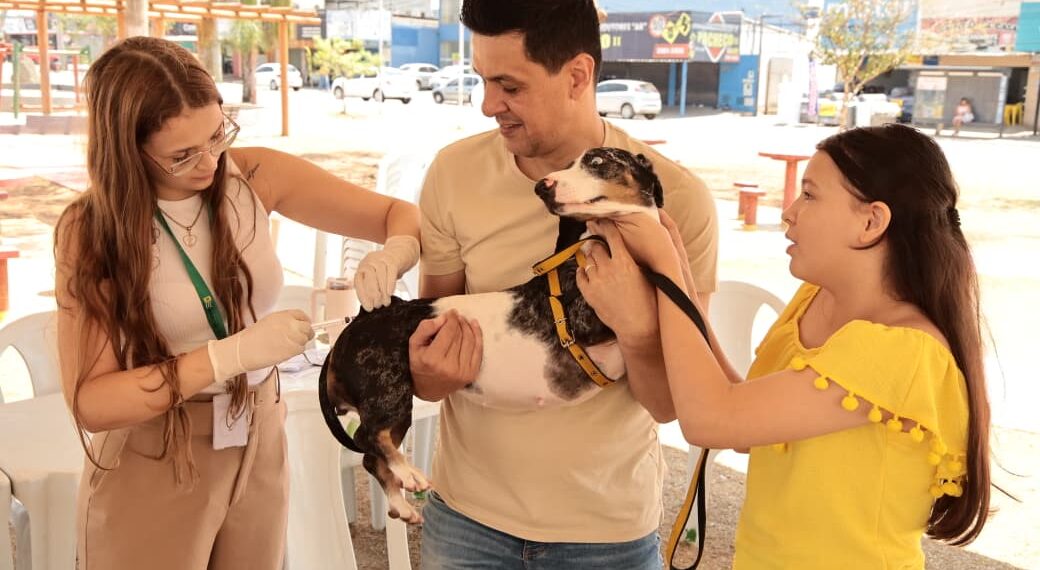 Aparecida de Goiânia mobiliza mais de 150 profissionais no Dia D da Vacinação Antirrábica 2025