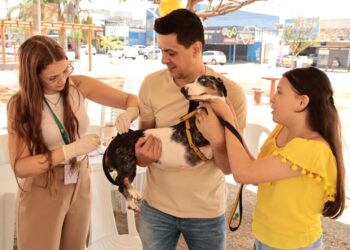 Aparecida de Goiânia mobiliza mais de 150 profissionais no Dia D da Vacinação Antirrábica 2025