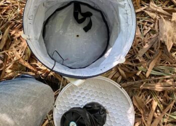 Goiânia promove Dia D de vacinação contra febre amarela no Parque Santa Rita