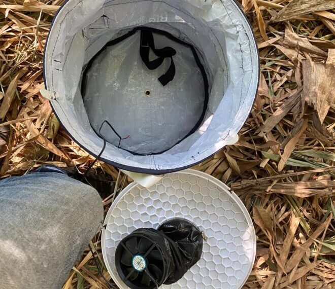 Goiânia promove Dia D de vacinação contra febre amarela no Parque Santa Rita