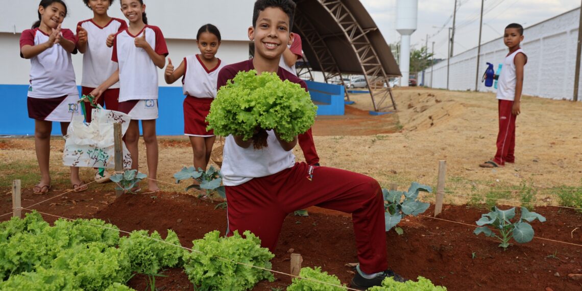 Primeira colheita do Projeto Agricultura Urbana mobiliza comunidade escolar em Aparecida de Goiânia