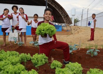 Primeira colheita do Projeto Agricultura Urbana mobiliza comunidade escolar em Aparecida de Goiânia
