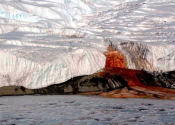 Cientistas desvendam origem da cor da Cachoeira de Sangue na Antártida