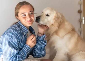 Conheça as raças de cachorros mais fáceis de adestrar