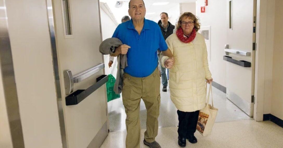 Paciente vive seis meses com rim de porco geneticamente modificado, marco histórico na medicina