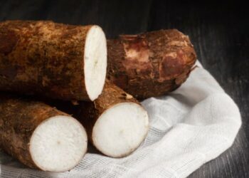 Mandioca: raiz rica em nutrientes que fortalece o coração e o sistema imunológico