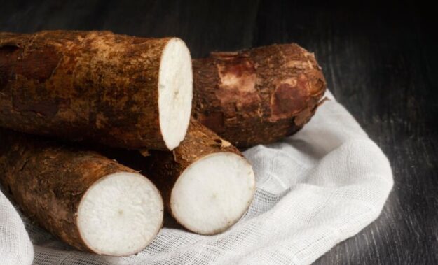 Mandioca: raiz rica em nutrientes que fortalece o coração e o sistema imunológico