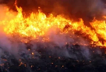 Incêndio atinge quase 2 mil hectares na Chapada dos Veadeiros