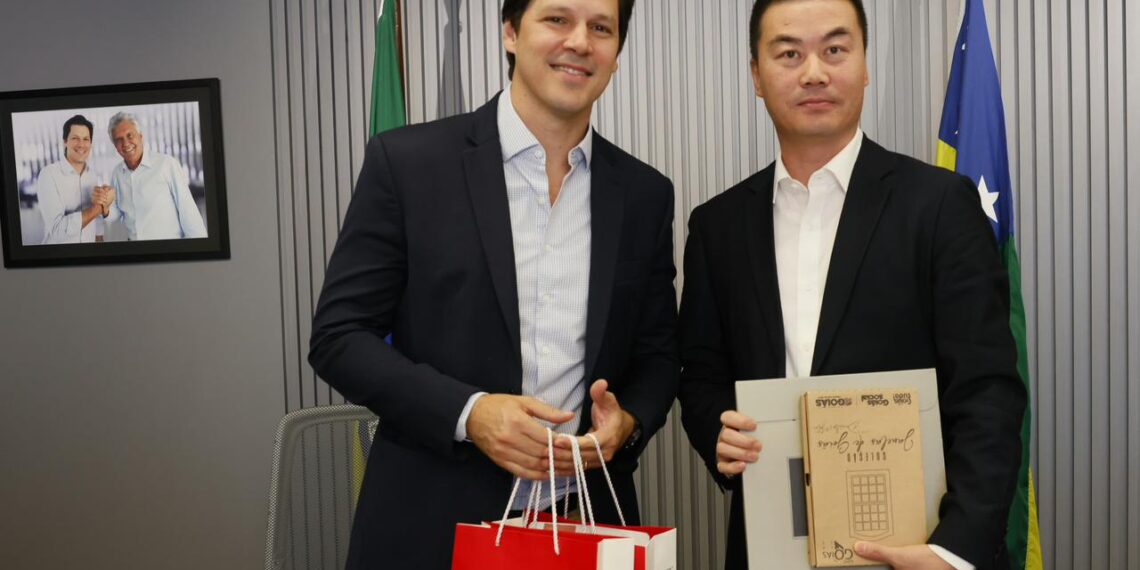 Executivos chineses avaliam Goiás para instalação de indústria bilionária de aminoácidos