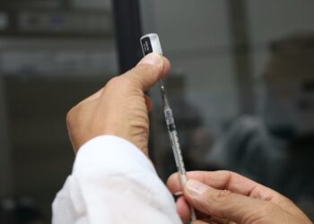 Aparecida de Goiânia intensifica vacinação contra febre amarela após confirmação de caso em primata