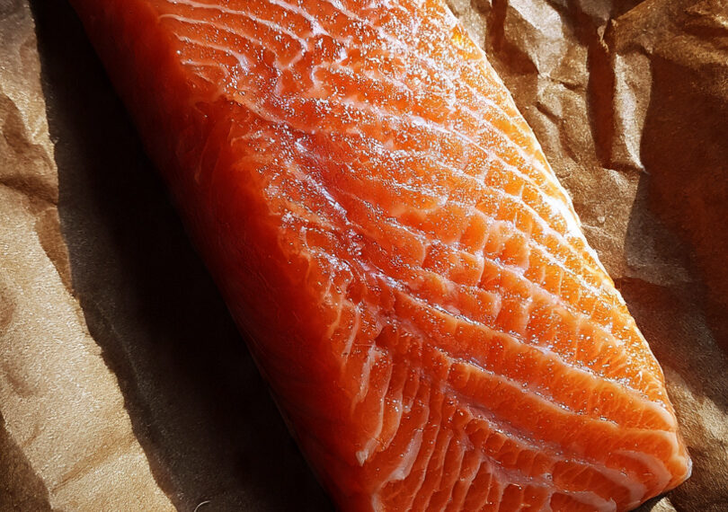 Salmão é alvo de críticas por presença de parasitas e substâncias tóxicas, aponta jornal espanhol