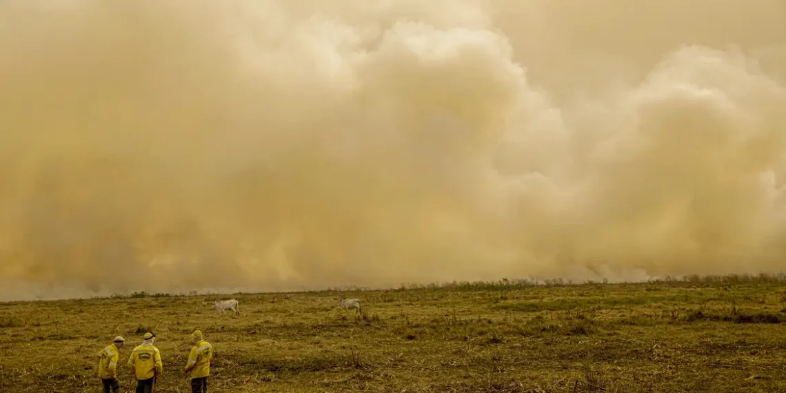 Mortes causadas por calor e fumaça de incêndios dispararam em 2024, alerta relatório da The Lancet