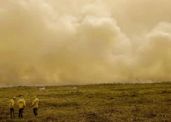 Mortes causadas por calor e fumaça de incêndios dispararam em 2024, alerta relatório da The Lancet