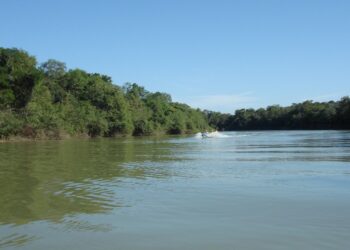 Tudo Passa. Só Fica a Saudade