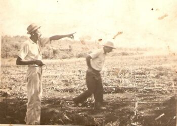 Uma Viagem ao Passado – Por Wilton Emiliano Pinto *