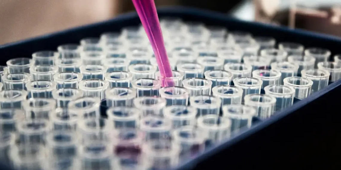 Exame de sangue para Alzheimer: Pesquisa brasileira valida biomarcador para diagnóstico em larga escala