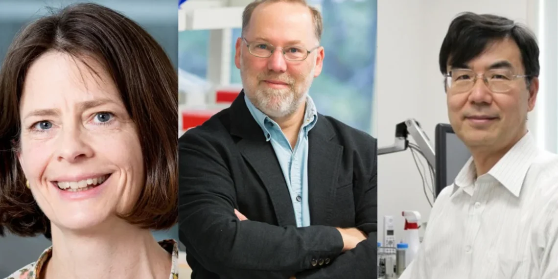 Cientistas são premiados com o Nobel de Medicina de 2025 por descobertas sobre defesa do corpo contra si mesmo