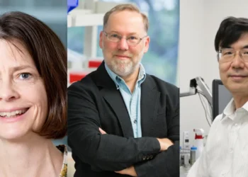 Cientistas são premiados com o Nobel de Medicina de 2025 por descobertas sobre defesa do corpo contra si mesmo